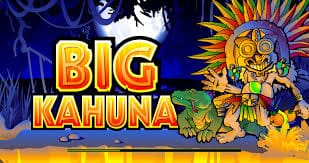 Play Big Kahuna Mobile Pokies to Win Real Money And Exciting Prices